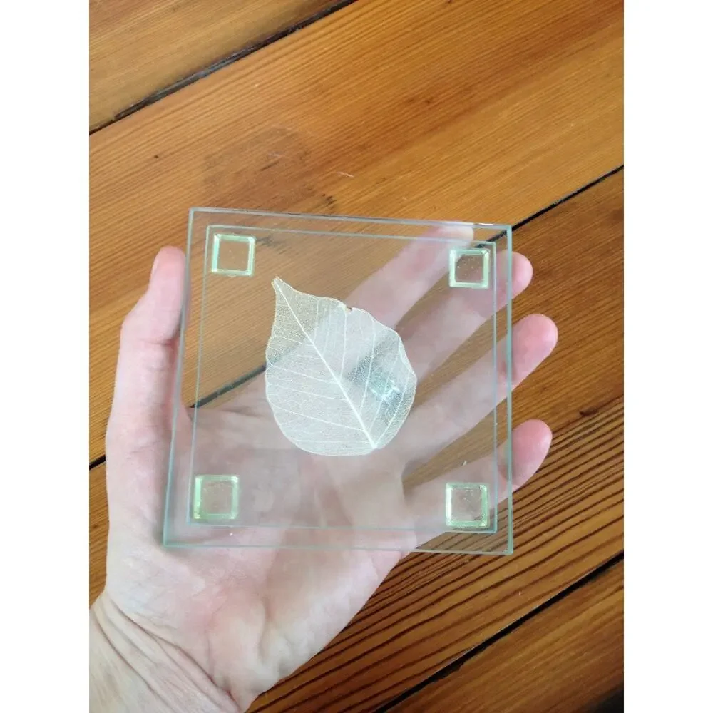 Set of 4 Real Leaf Clear Glass Floral Nature Drink Cocktail Coastal Coasters 4